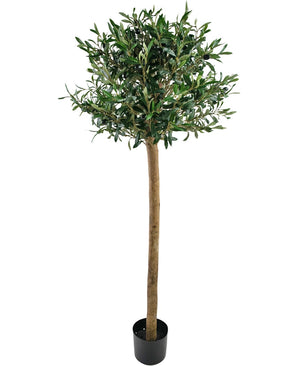 De Kunst olijfboom 150 cm UV is een hoge kunstolijfboom met een dikke stam en dichte groene bladeren, gezet in een kleine zwarte pot en afgebeeld tegen een witte achtergrond.