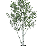 De Kunst Berkenboom 300 cm is een kunstberk in pot met een witte stam en takken, versierd met kleine groene blaadjes, tegen een effen witte achtergrond.