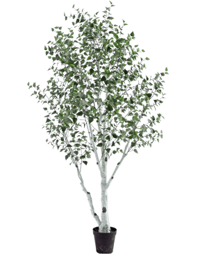Kunst Berkenboom 300 cm