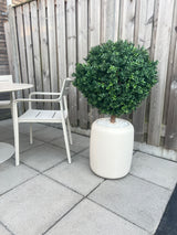 Kunst Buxus op stam d60 cm