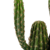 Een close-up van de Kunst Cactus 62 cm, met meerdere rechtopstaande groene armen met scherpe witte stekels, tegen een effen witte achtergrond.