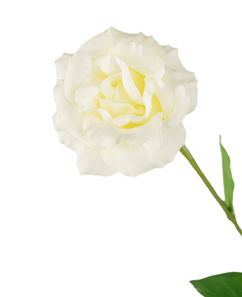 Kunst Eustoma Real Touch Wit 72cm