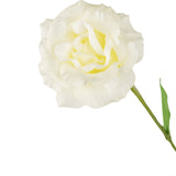 De Kunst Eustoma Real Touch Wit 72cm heeft een enkele witte bloem met ruches in de bloemblaadjes en groene bladeren, perfect geïsoleerd op een effen witte achtergrond.