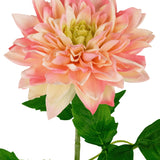 Een close-up van de Kunst Georgine Real Touch Geel/roze 70cm toont de roze en gele gelaagde bloemblaadjes met groene blaadjes tegen een witte achtergrond.