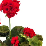 De Kunst Geranium 40 cm rood heeft helderrode kunstbloemen met weelderige groene ronde bladeren tegen een witte achtergrond - ideale kunstplanten om levendige kleur toe te voegen aan je interieur.