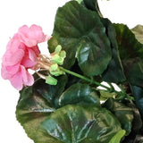 Een close-up van de Kunst Geranium 40 cm roze, met meerdere groene bladeren tegen een witte achtergrond.
