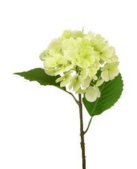 Kunst Hortensia Deluxe 55 cm groen