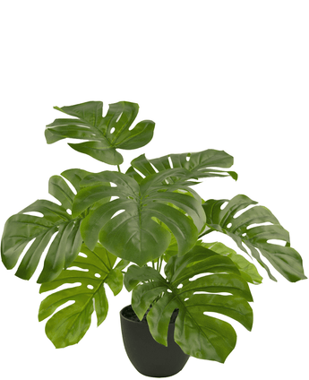 Kunst Monstera 55 cm in sierpot zwart