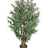 De Kunst Olijfplant 120 cm UV is een hoge kunstolijfboom met meerdere houten stammen en dichte groene bladeren in een kleine zwarte pot.