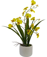 Kunst Oncidium Real Touch 48 cm geel