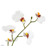 Een close-up van de Kunst Oncidium Real Touch 48 cm wit toont de delicate witte orchideeënbloemen met gele en bruine hartjes tegen een effen witte achtergrond.