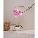 De Kunst Orchidee 28 cm wit/roze in pot staat op een betegeld oppervlak naast een gevlochten mand en een witte Diptyque geurkaars, tegen een lichte muur met een kale tak erboven.
