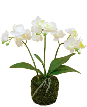 Kunst Orchidee 32 cm wit