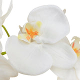 Een close-up van de Kunst Orchidee 58 cm wit, met zachtwitte bloemblaadjes met een vleugje geel en oranje in het midden, tegen een effen witte achtergrond.