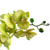 Een close-up van de Kunst Orchidee Real Touch 60 cm groen toont lichtgroene en gele orchidee bloemen met een paar ongeopende knoppen op de steel, tegen een witte achtergrond.