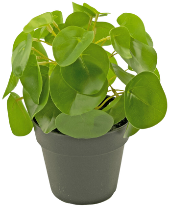 Kunst Pannenkoekplant mini 20 cm