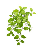 Kunst Pothos Struik Deluxe 60cm