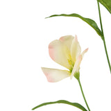 De Kunst Rhododendron Azalea Real Touch Crème/roze 80cm heeft delicate crème en zachtroze bloemblaadjes met groene bladeren op een lange steel, prachtig tegen een witte achtergrond.