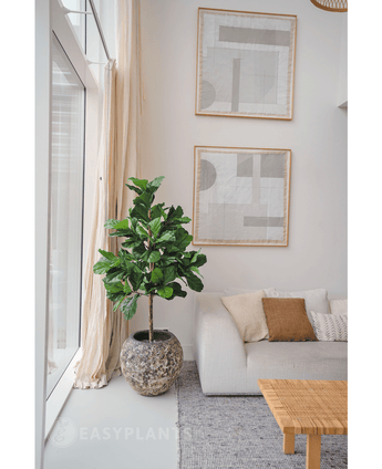 Kunst Tabaksplant Ficus Lyrate 150 cm