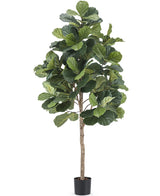 Kunst Tabaksplant Ficus Lyrate 180 cm