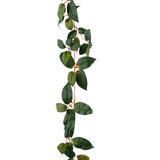 De Kunst Tradescantia Slinger Groen 180 cm heeft een lange, hangende klimplant met groene, ovale bladeren en dunne, roodachtige stengels, afgebeeld tegen een witte achtergrond.