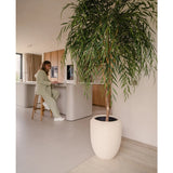 Een Kunst Wilgenboom 210 cm staat op de voorgrond van een lichte, minimalistische keuken. Op de achtergrond zit een persoon in lichtgroen op een barkruk aan het aanrecht te werken op een laptop.