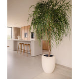 Een Kunst Wilgenboom 210 cm met lange, slanke bladeren voegt groen toe aan een moderne keuken met lichthouten kasten, een wit eiland en houten barkrukken. Zonlicht uit het raam benadrukt zijn aanwezigheid in de minimalistische ruimte.