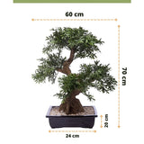 Kunst bonsai boompje 70 cm in pot, met witte steentjes en sierpot (maat: 70x60 cm, pot 24x20 cm). Tekst en pijlen tonen afmetingen-ideaal voor een stijlvolle inrichting.
