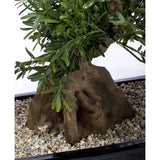 Close-up van een Kunst bonsai boompje 70 cm in pot, met zijn stam en groene bladeren in een ondiepe zwarte bak gevuld met kleine kiezels.