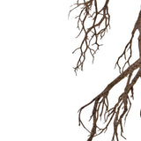 De Kunst decoratie tak 118 cm strekt dunne, bladerloze takken uit van rechtsboven tegen een witte achtergrond en vormt een ingewikkeld natuurlijk patroon met negatieve ruimte aan de linkerkant.
