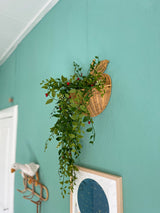 Kunst hangplant Gardenia met besjes 81 cm