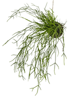 Kunst hangplant Gras op bal 48 cm