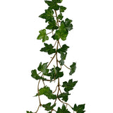 De Kunst hangplant Klimop slinger deluxe 180 cm groen heeft een realistische hangende streng van groene klimop met meerdere puntige bladeren aan een dunne liaan, mooi geïsoleerd op een witte achtergrond.
