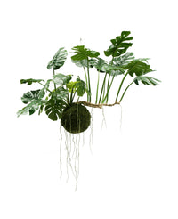 Kunst hangplant Monstera Deluxe 80 cm