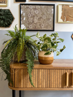 Kunst hangplant Varen op bal 63 cm