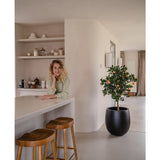 Een vrouw met krullend blond haar glimlacht, leunend op een aanrecht. Naast haar geven twee houten krukjes en een Kunst sinaasappelboom 120 cm een frisse sfeer aan de moderne, lichte keuken met planken en borden erachter.