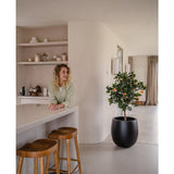 Een vrouw met krullend blond haar glimlacht achter een aanrecht met twee houten krukjes. De Kunst sinaasappelboom 120 cm in een pot voegt charme toe aan de moderne, minimalistische ruimte die is ingericht in neutrale tinten.