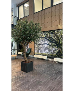 Een moderne binnenruimte met grijze tegelvloeren, een kunstwerk ‘Olijfboom zonder olijven’ (270 cm) als blikvanger, een groene fauteuil, een grote muurschildering van een bos op de achterwand, en zichtbare ramen en radiatoren.