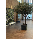 Het kunstwerk ‘Olijfboom zonder olijven’ (270 cm) staat op een betegelde vloer in de moderne lobby, met grote ramen, stoelen op de achtergrond en een boomkunstwerk aan de linkerwand.
