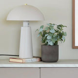 Een moderne witte lamp staat op twee op elkaar gestapelde boeken naast de Kunst Pumila „Silver“ in pot UV 25 cm op een kast met marmeren blad tegen een lichtgekleurde muur.