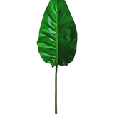 Een enkel Kunstblad Alocasia 76cm kunstblad, levendig groen met prominente nerven en een glad oppervlak, bevestigd aan een lange, dunne steel, tegen een effen witte achtergrond.