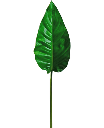 Kunstblad Alocasia 76cm