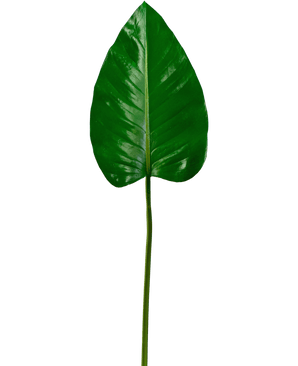Kunstblad Alocasia 78cm