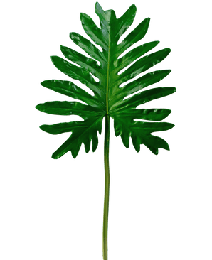 Kunstblad Philodendron 68cm