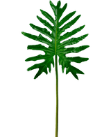 Kunstblad Philodendron 90cm