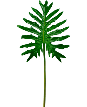 Kunstblad Philodendron 90cm