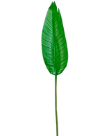 Kunstblad Strelitzia 110cm