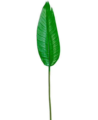 Kunstblad Strelitzia 110cm