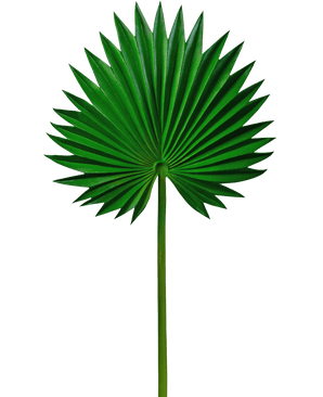 Kunstblad Washingtonia 73cm