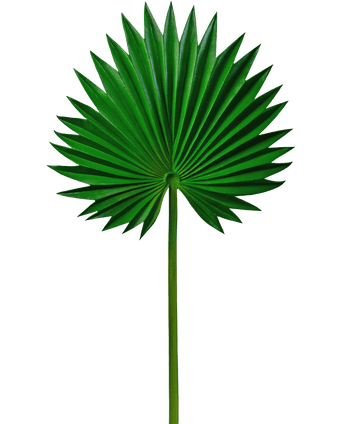 Kunstblad Washingtonia 73cm